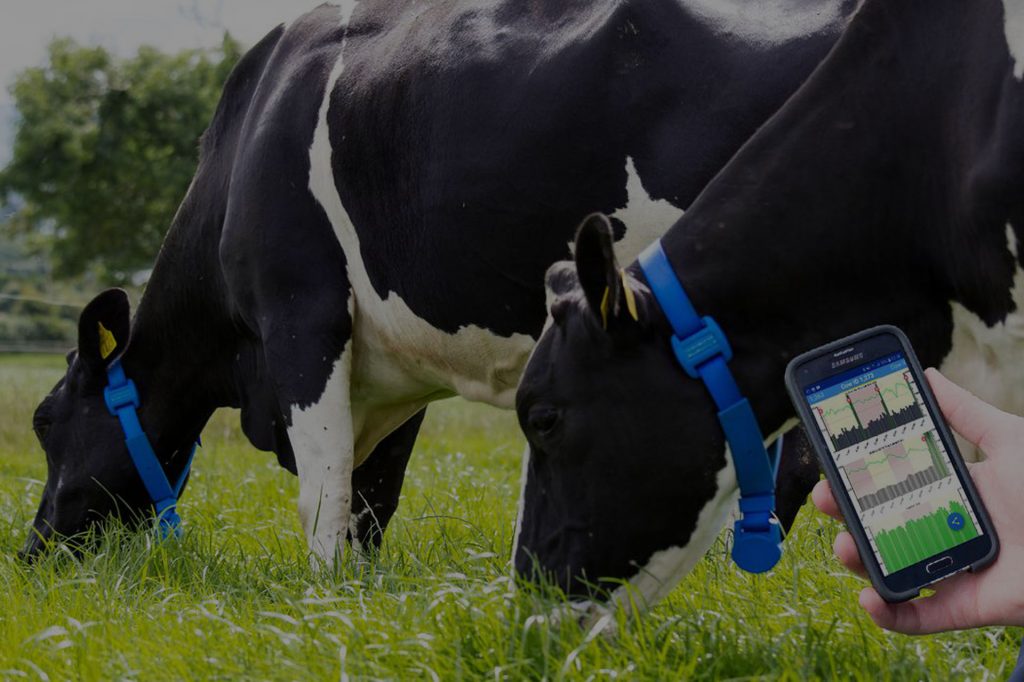 eTrack Zimbabwe Award Winning GPS Tracking Services